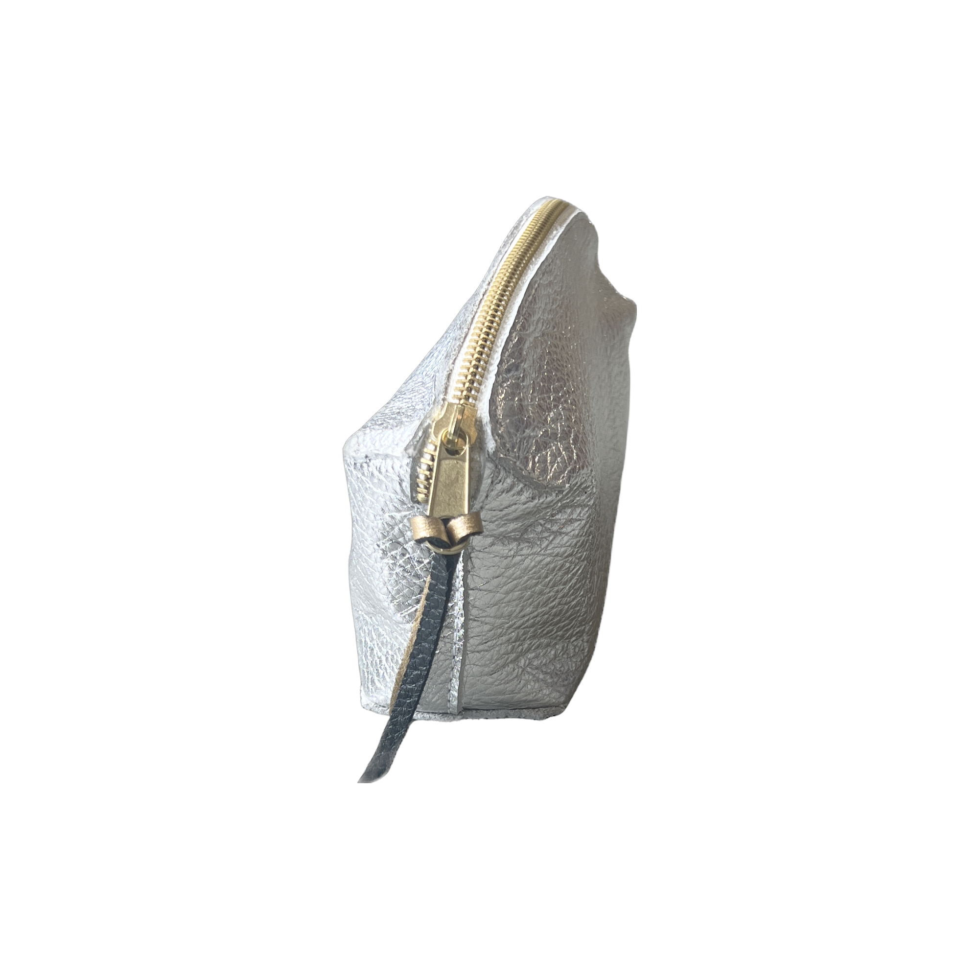Pod Pouch in Silver Metallic