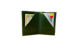 BiFold Case, jade